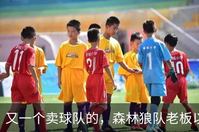 又一个卖球队的，森林狼队老板以45亿美元估值出售球队，赚大了